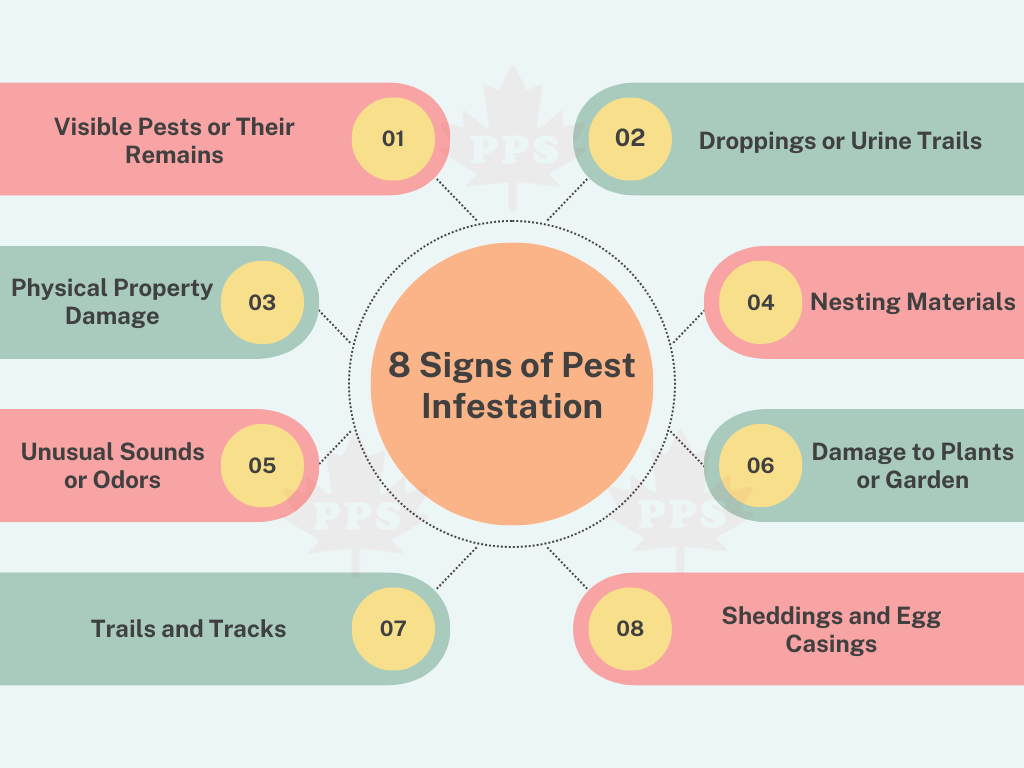 There are a few signs that can help you find out whether your house has a pest infestation problem.